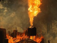 Zjarret jashtë kontrollit në Australi, shpallet gjendje katastrofe në shtetin e Viktorias