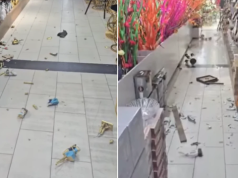 Tërmeti në Kosovë, sizmologu Mustafa: Kishte potencial për të rrezikuar qytetarët dhe për të shkaktuar dëme materiale