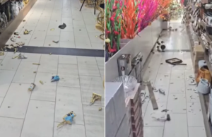 Tërmeti në Kosovë, sizmologu Mustafa: Kishte potencial për të rrezikuar qytetarët dhe për të shkaktuar dëme materiale