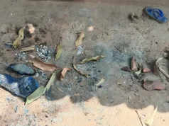 Nëna dhe foshnja digjen të gjallë. U ngordhën bagëtitë e fshatit dhe banorët injorantë akuzuan një familje për “magji të zezë”.