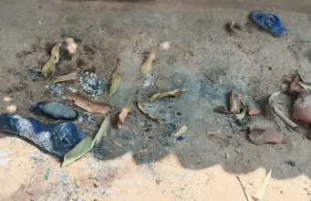 Nëna dhe foshnja digjen të gjallë. U ngordhën bagëtitë e fshatit dhe banorët injorantë akuzuan një familje për “magji të zezë”.