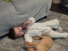 A ndikojnë kafshët shtëpiake në shëndetin mendor të fëmijëve? Studimi jep përgjigje