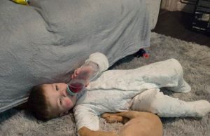 A ndikojnë kafshët shtëpiake në shëndetin mendor të fëmijëve? Studimi jep përgjigje