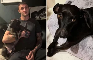 Anwar Hadid humb qenin e tij Dexter: “Hyre në jetën time kur doja t’i jepja fund…”