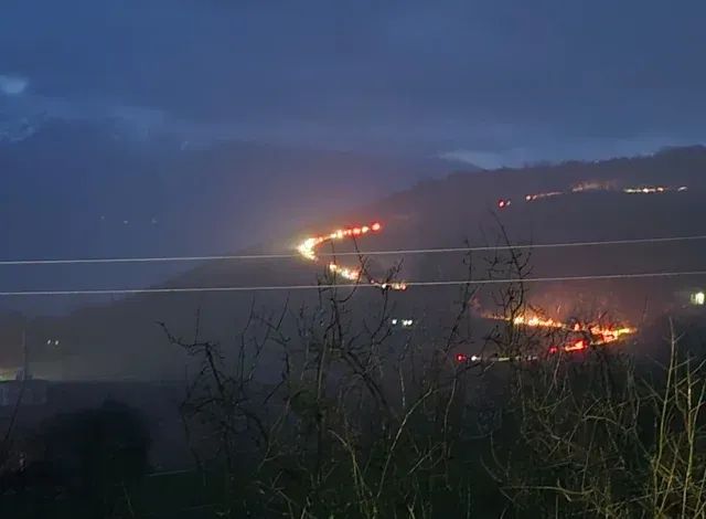 FB_IMG_1771711983948