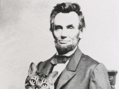 Presidenti i parë që futi macet në Shtëpinë e Bardhë. Abraham Lincoln dhe dashuria e tij për Tabby dhe Dixie