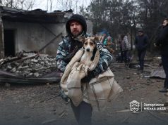 Lufta nuk kursen as kafshët. Rusia bën masakër qensh duke bombarduar strehën në Zaporizhzhia