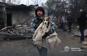 Lufta nuk kursen as kafshët. Rusia bën masakër qensh duke bombarduar strehën në Zaporizhzhia