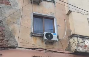 Psikopatja e Siri Kodrës vazhdon të masakrojë mace. Sa do të presim?! Derisa të vrasë njerëz?