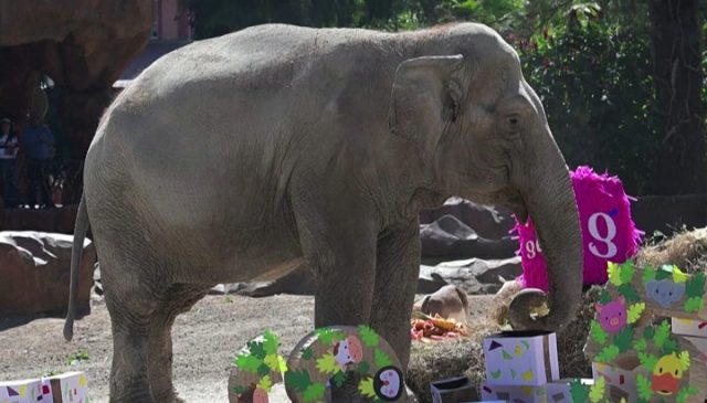 Screenshot 2026-02-15 140235