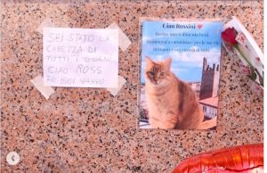 Kur i gjithë qyteti qan për një maçok/ Rossini, simboli i dashurisë së Rovigos në Itali përjetësohet në një statujë