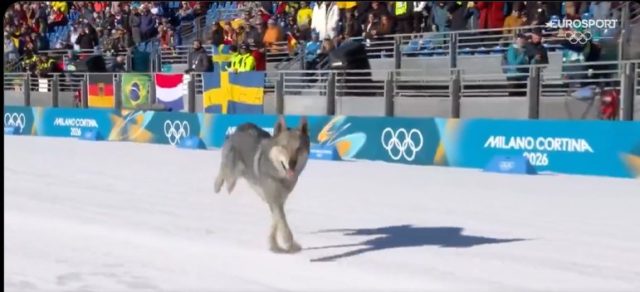 Screenshot 2026-02-19 000553