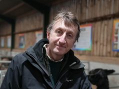 “Abuzuesit e kafshëve sot janë përdhunuesit dhe vrasësit e nesërm.” Eksperti britanik: keqtrajtimi i tyre paralajmëron dhunën ndaj njerëzve