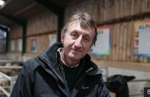 “Abuzuesit e kafshëve sot janë përdhunuesit dhe vrasësit e nesërm.” Eksperti britanik: keqtrajtimi i tyre paralajmëron dhunën ndaj njerëzve