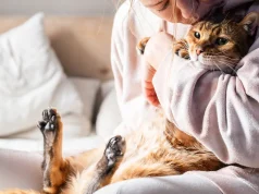 “Mendon se macja të injoron? Studimi zbulon: lidhet me ty si një fëmijë me nënën”