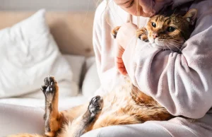 “Mendon se macja të injoron? Studimi zbulon: lidhet me ty si një fëmijë me nënën”