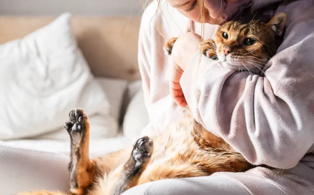 11883510-0a61-11f0-9bf0-027416460d33