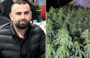 Dorëzohet në polici drejtori i burgut të Rrogozhinës, mohon lidhjen me kanabisin e zbuluar në pronën e tij