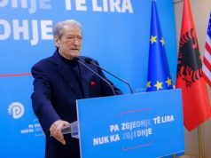 Berisha për Salianjin: “E birësuan politikisht, mori fund”