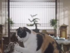 Në Kinë shpërthen trendi i serialeve me AI: Telenovelat me mace dhe qen digjitalë po thyejnë rekordet e shikimeve