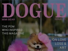 “Dogue” sfidon Vogue: revista për qen përfundon në gjykatë për plagjiaturë marke