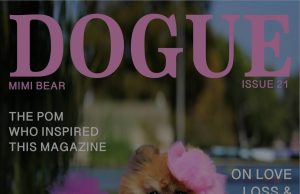 “Dogue” sfidon Vogue: revista për qen përfundon në gjykatë për plagjiaturë marke