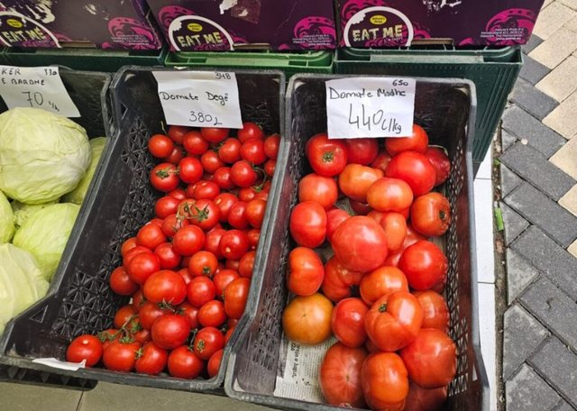 640-0-ddd-1775392502