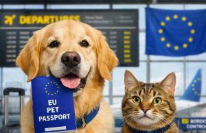 BE ndryshon gjithçka për kafshët/ Nga 22 prilli rregulla të reja: kontrolle, kufizime dhe detyrime të forta në udhëtime