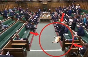 Video/ Qeni që flinte për shtatë palë qejfe në parlamentin britanik! Historia pas pamjeve virale