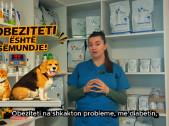 Kujdes nga ushqimi i marketeve! Obeziteti po sëmur kafshët shtëpiake. Ja cila është zgjidhja nëse nuk ua përballon xhepi ushqimin e duhur