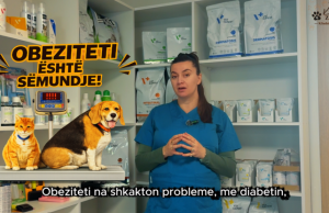 Kujdes nga ushqimi i marketeve! Obeziteti po sëmur kafshët shtëpiake. Ja cila është zgjidhja nëse nuk ua përballon xhepi ushqimin e duhur