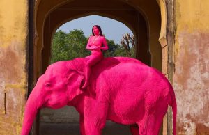 Video virale/ Lyerja e elefantit me bojë rozë ndez polemika. Hetime për keqtrajtim në Indi pas ngordhjes së kafshës 70-vjeçare