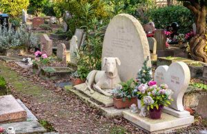 Rregulli ri në Itali: Mund të varrosesh me kafshën tënde! Vendimi që po bën bujë