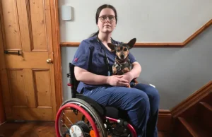 Mos u ndjeni fajtorë! Veterinerja: Pronarët s’duhet të detyrohen të jenë në eutanazinë e kafshëve të tyre, por as nuk duhet të bullizohen nëse qëndrojnë