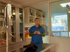 Video/ “Mos e bëni këtë gabim me macet e qentë!” Doktoresha e kafshëve Eni Zemani: Sterilizimi ka dy arsye kyçe, ja kur duhet kryer