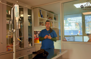 Video/ “Mos e bëni këtë gabim me macet e qentë!” Doktoresha e kafshëve Eni Zemani: Sterilizimi ka dy arsye kyçe, ja kur duhet kryer