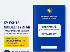 Kafshët shtëpiake do marrin “nënshtetësinë” shqiptare. Mikrocipimi dhe pasaportizimi i kafshëve nis në Shqipëri. Çfarë duhet të dinë pronarët e qenve dhe maceve
