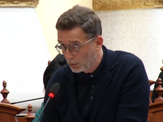 “S’e kam kompetencë”, Braçe shpërthen në Kuvend për kafshët e braktisura: Bashkitë po i lënë në harresë