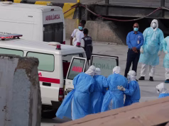 Anija e frikës me hantavirus drejt Europës, 3 të vdekur dhe alarm ndërkombëtar për virusin vdekjeprurës