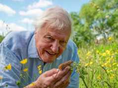 U mor gjithë jetën me kafshë, tani mbush 1 shekull jetë. Legjenda e dokumentarëve të natyrës, David Attenborough “përmbytet” nga mesazhet e urimit për 100-vjetorin