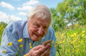 U mor gjithë jetën me kafshë, tani mbush 1 shekull jetë. Legjenda e dokumentarëve të natyrës, David Attenborough “përmbytet” nga mesazhet e urimit për 100-vjetorin