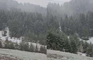 Dimër në mes të majit/ Bora “zbardh” Brezovicën dhe surprizon turistët
