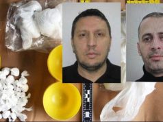 SPAK godet perandorinë e kokainës