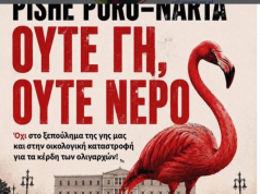 Përplasje në Kuvend për posterin që thërret protesta në greqisht, në Athinë kundër projektit në zonën e Pishë Poros–Nartës, Balla akuzon Ina Zhupën për gënjeshtër: Shkojmë në gjykatë