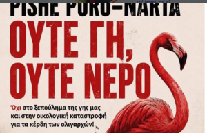 Përplasje në Kuvend për posterin që thërret protesta në greqisht, në Athinë kundër projektit në zonën e Pishë Poros–Nartës, Balla akuzon Ina Zhupën për gënjeshtër: Shkojmë në gjykatë