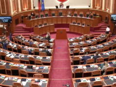 (Video) Gafa në Kuvend/ Deputetja e PD-së ngatërrohet: “Burra e gra shtrohen bashkë në MATARNITET”