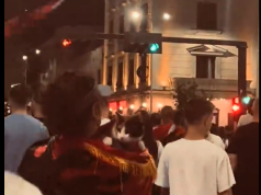 Flamingot fitojnë një aleat të ri në Tiranë. Edhe macet në protestë!