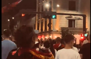 Flamingot fitojnë një aleat të ri në Tiranë. Edhe macet në protestë!