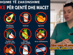 Jo çdo ushqim i shtëpisë është i sigurt për kafshët, ja lista e produkteve që duhen shmangur