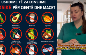 Jo çdo ushqim i shtëpisë është i sigurt për kafshët, ja lista e produkteve që duhen shmangur